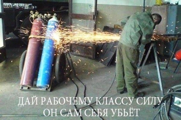 Прикольные картинки (61 фото)