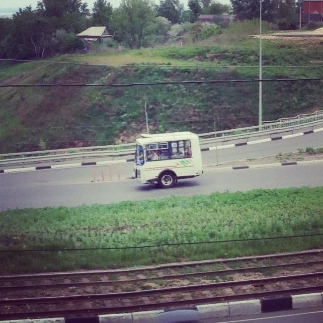 Прикольные картинки (61 фото)