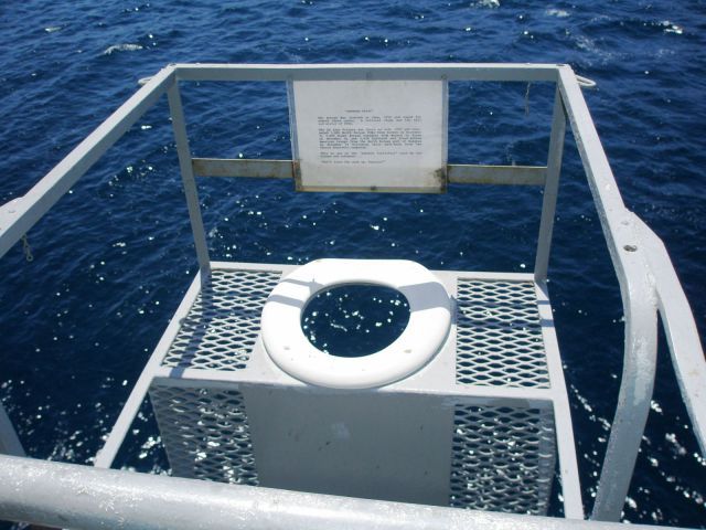 Прикольные картинки (61 фото)