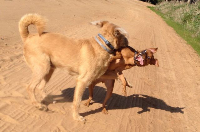 Прикольные картинки (61 фото)