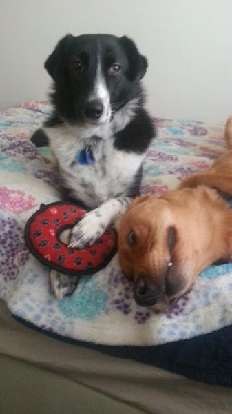 Прикольные картинки (61 фото)