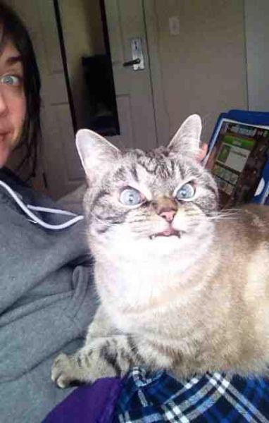 Прикольные картинки (61 фото)