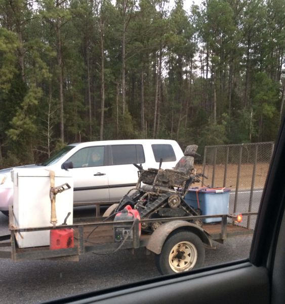 Прикольные картинки (61 фото)