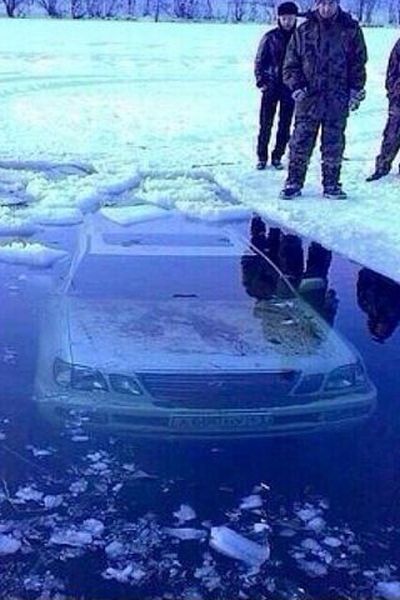 Прикольные картинки (61 фото)