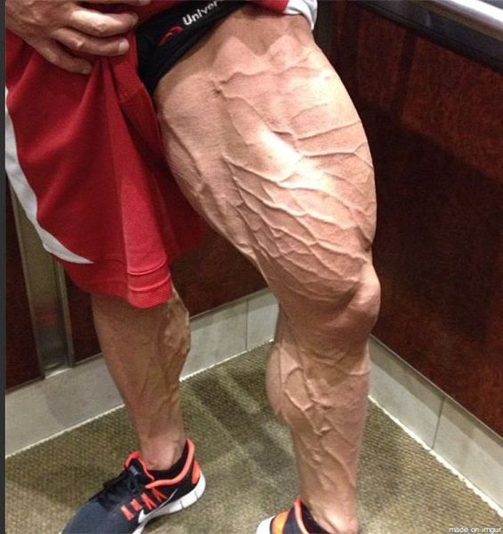 Прикольные картинки (61 фото)