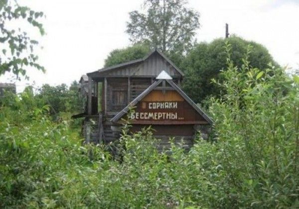 Только в России (33 фото)