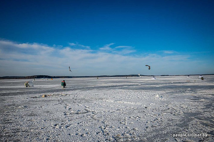 Тест на настоящего мужика: репортаж с зимней рыбалки на Минском море Тест на настоящего мужика: репортаж с зимней рыбалки на Минском море