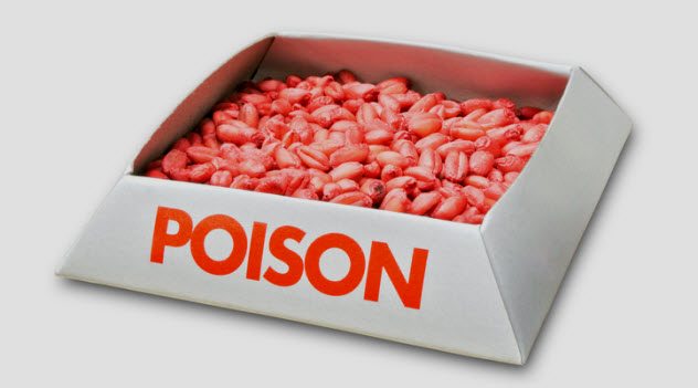 «Поцелуи смерти», или как простое проявление любви может лишить человека жизни? Часть 2