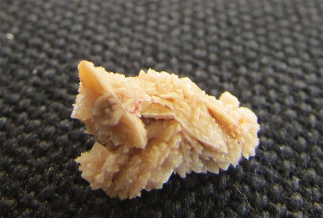 Десятка очень странных мировых рекордов