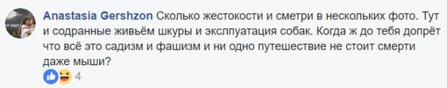 Блогер ответил на критику зоозащитницы