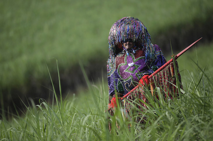 Карнавалы 2014 Карнавалы 2014