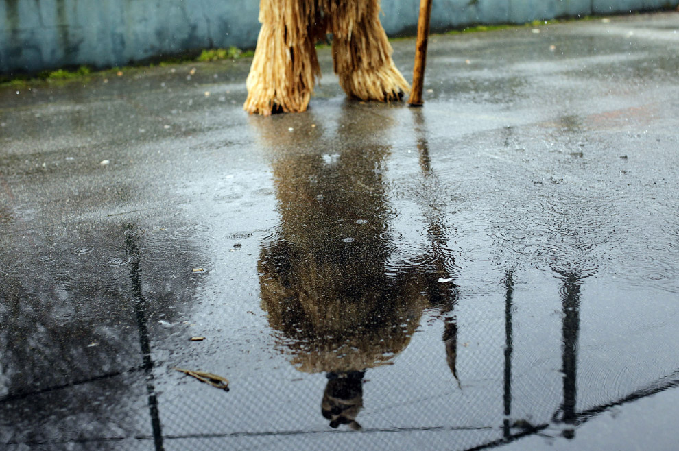 Карнавалы 2014 Карнавалы 2014