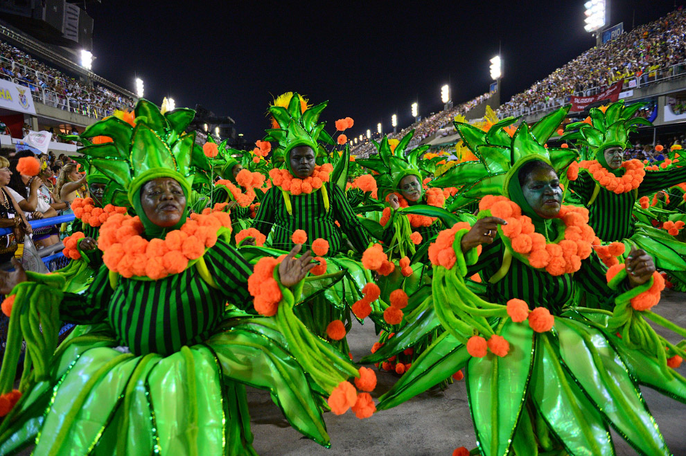 Карнавалы 2014 Карнавалы 2014