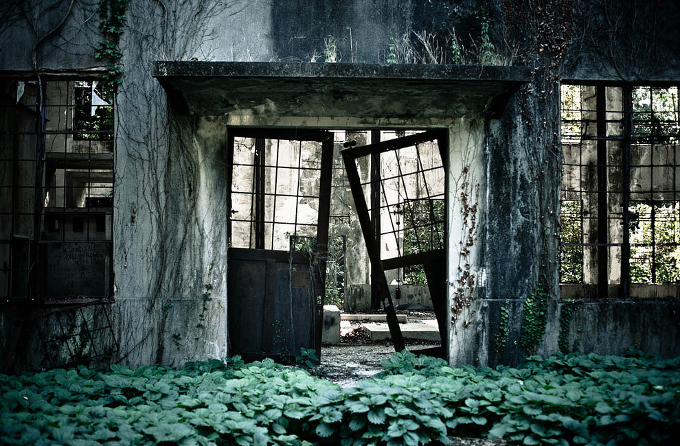 Тайны Острова кроликов в Японии