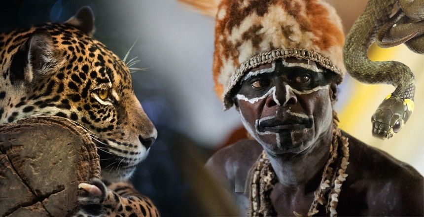 Места, где вас могут съесть (11 фото)