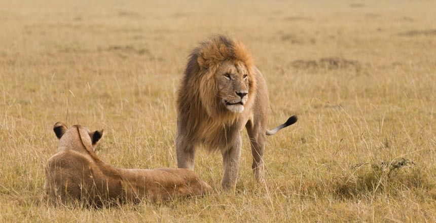 Места, где вас могут съесть (11 фото)