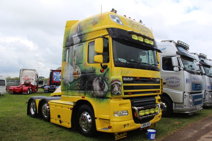 Аэрография на тягачах