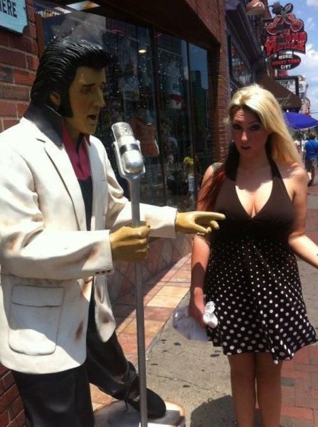 Прикольные картинки (50 фото)