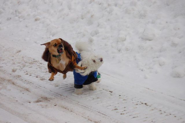 Прикольные картинки (50 фото)