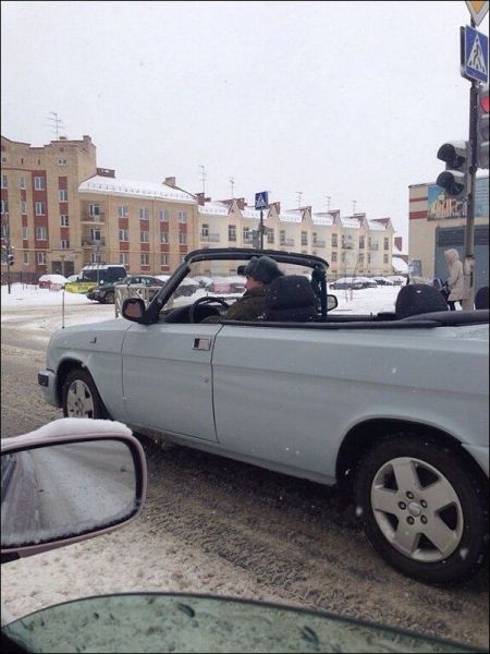 Прикольные картинки (50 фото)