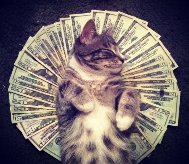 Прикольные картинки (50 фото)