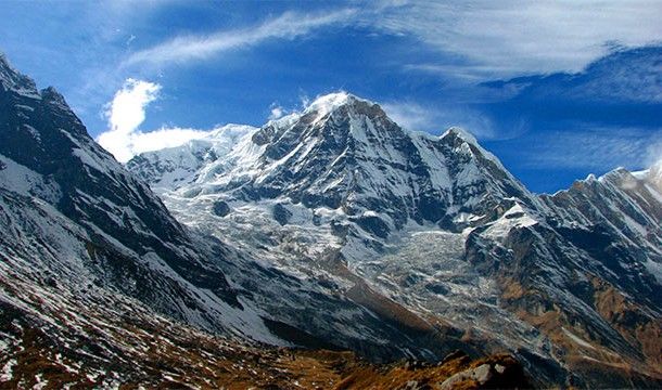 Выжить любой ценой (13 фото)