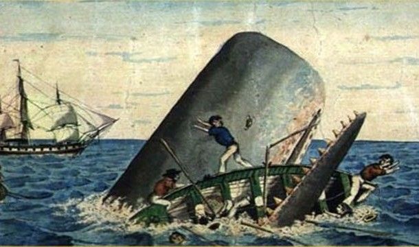 Выжить любой ценой (13 фото)