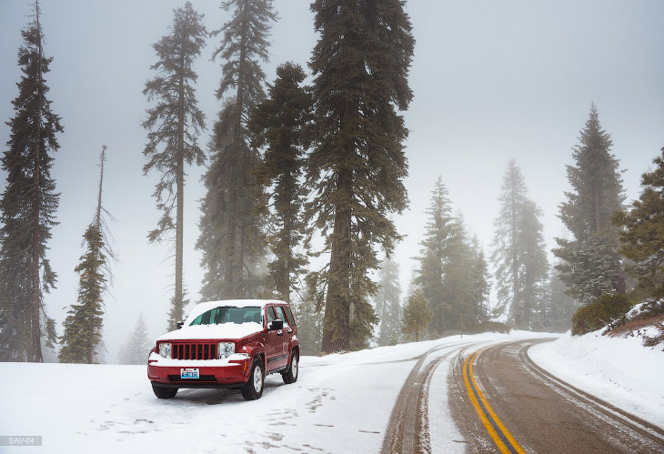 Национальный парк «Секвойя» в Калифорнии