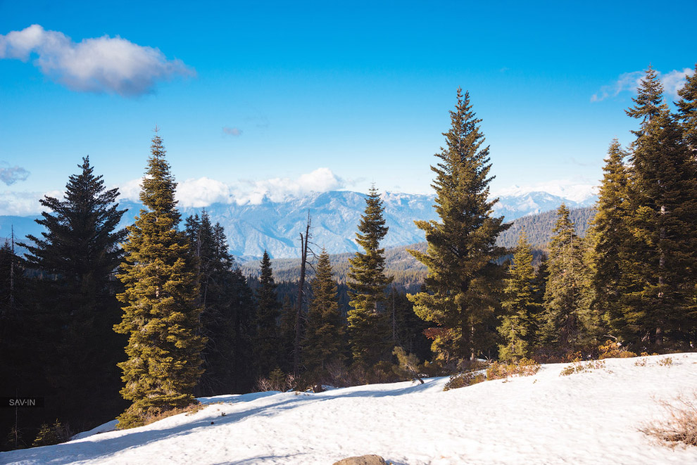 Национальный парк «Секвойя» в Калифорнии