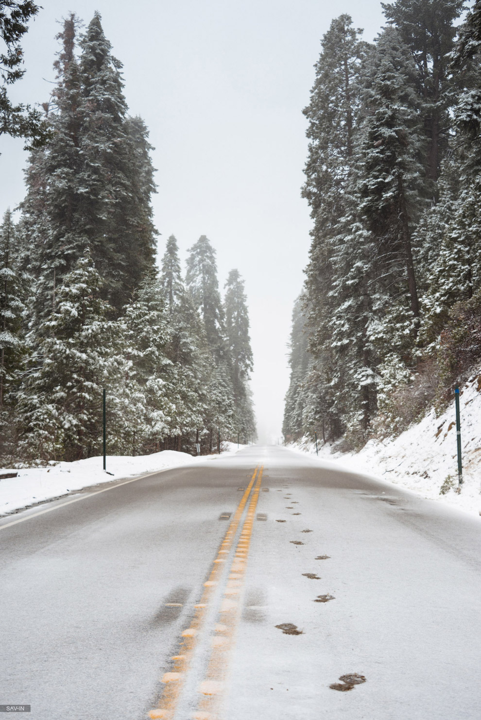 Национальный парк «Секвойя» в Калифорнии