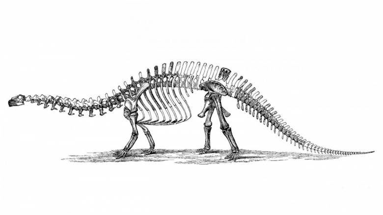 Легендарные динозавры выглядят совсем не так, как мы привыкли считать Легендарные динозавры выглядят совсем не так, как мы привыкли считать