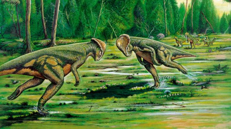 Легендарные динозавры выглядят совсем не так, как мы привыкли считать Легендарные динозавры выглядят совсем не так, как мы привыкли считать