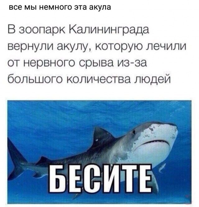 Юмор из социальных сетей