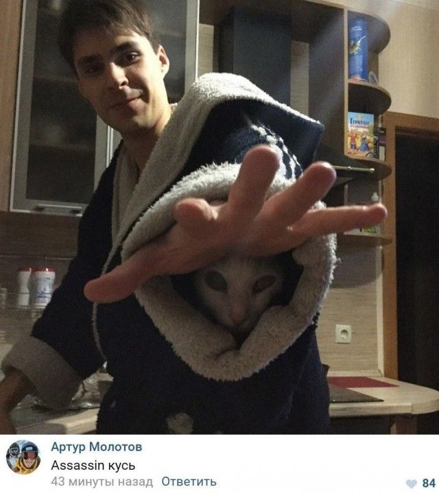 Юмор из социальных сетей