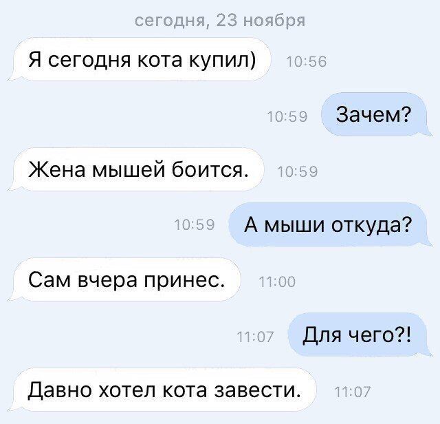 Юмор из социальных сетей