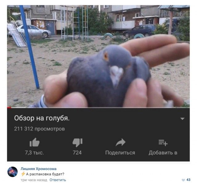 Юмор из социальных сетей