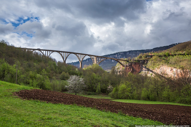 Настоящая Черногория. Северный маршрут Настоящая Черногория. Северный маршрут