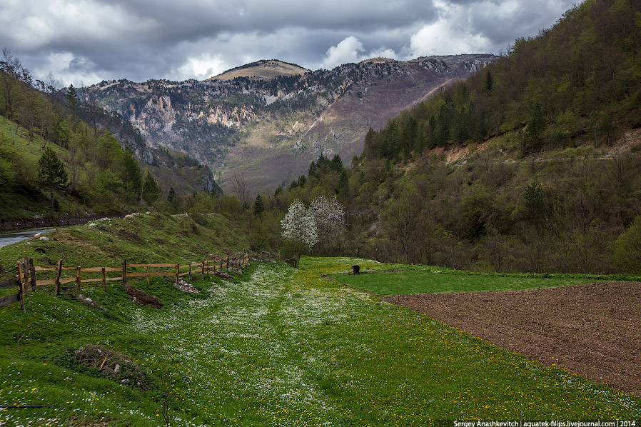 Настоящая Черногория. Северный маршрут Настоящая Черногория. Северный маршрут