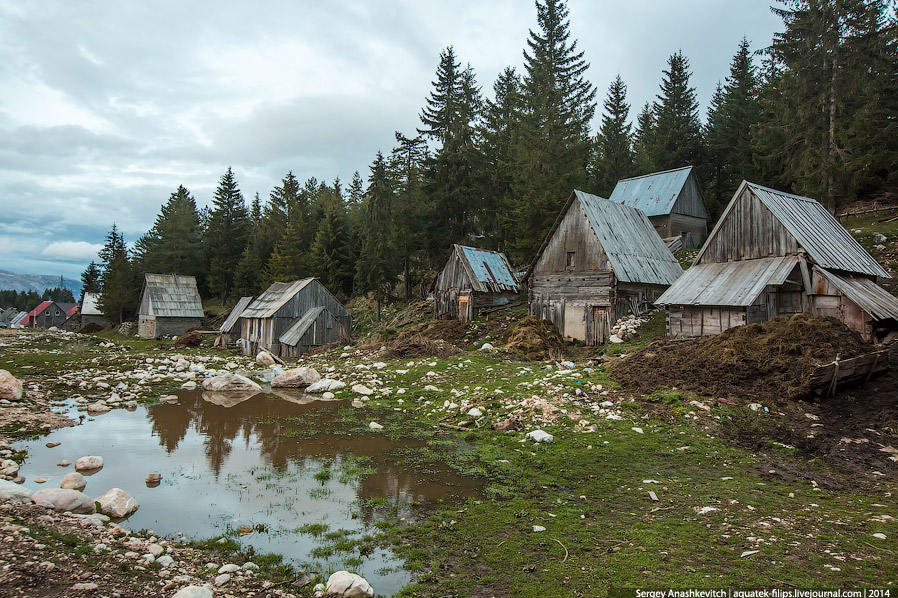Настоящая Черногория. Северный маршрут Настоящая Черногория. Северный маршрут