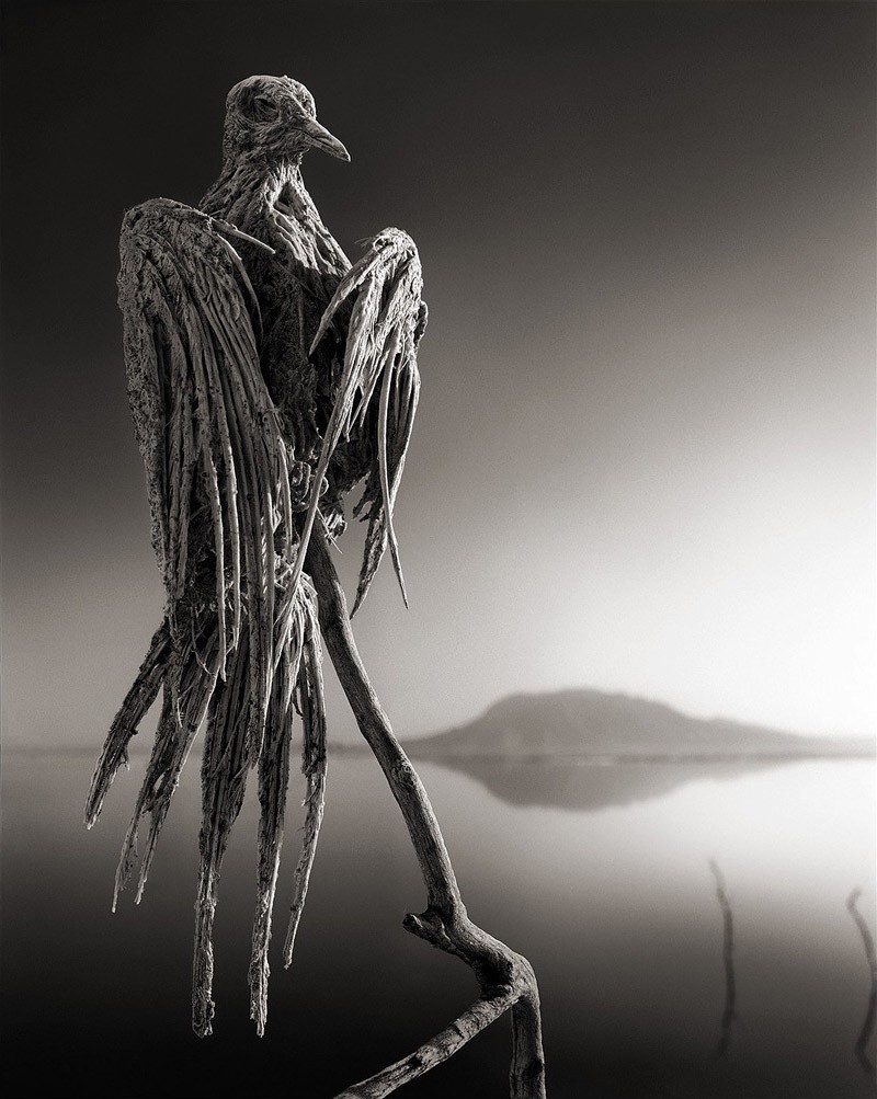 Природный феномен озера Натрон