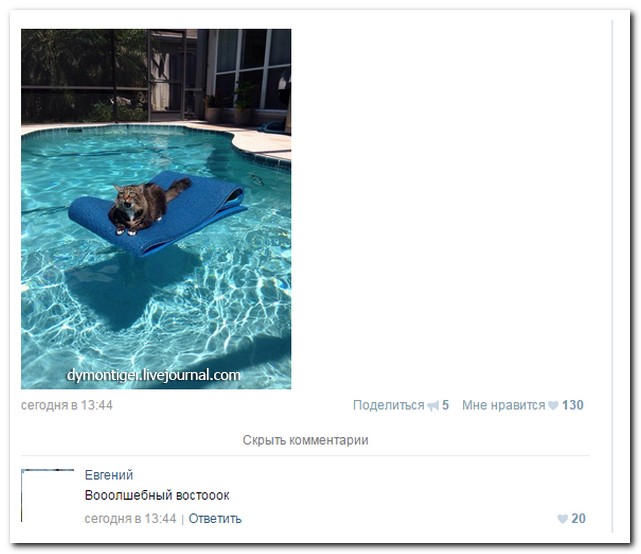 Смешные комментарии из социальных сетей