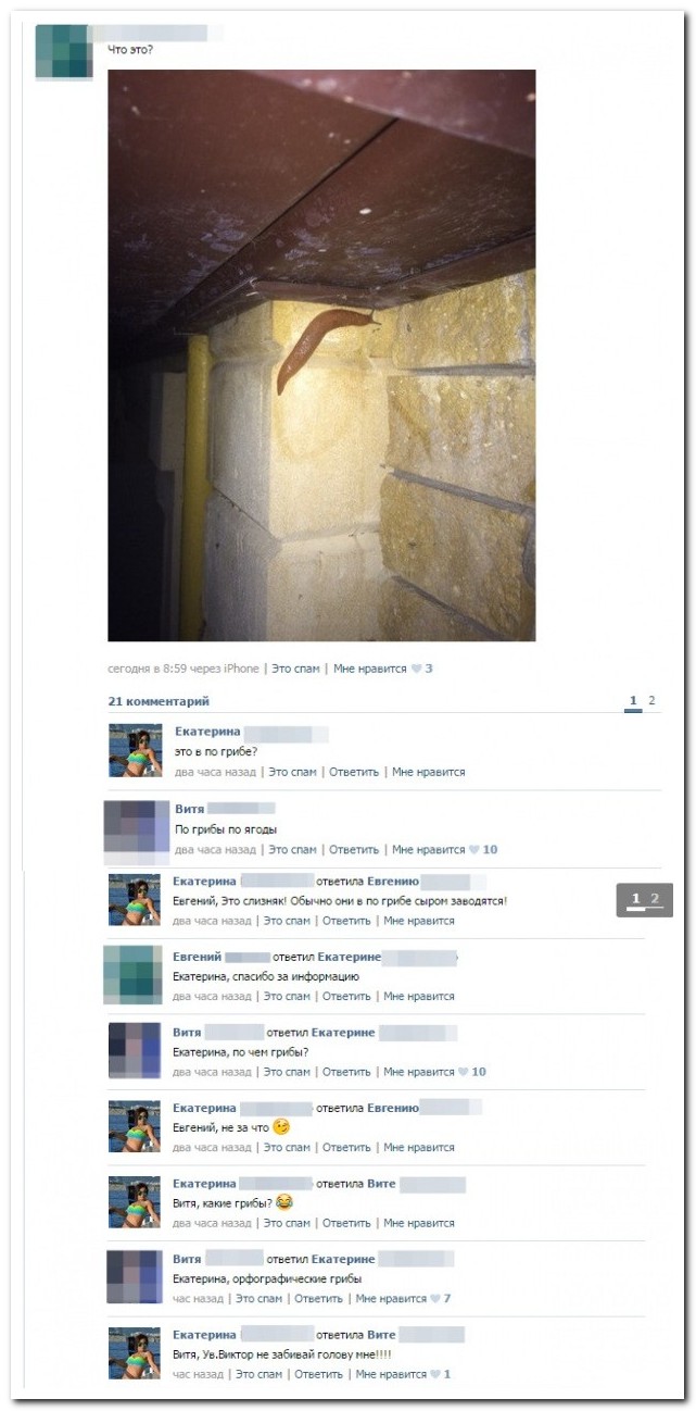 Смешные комментарии из социальных сетей