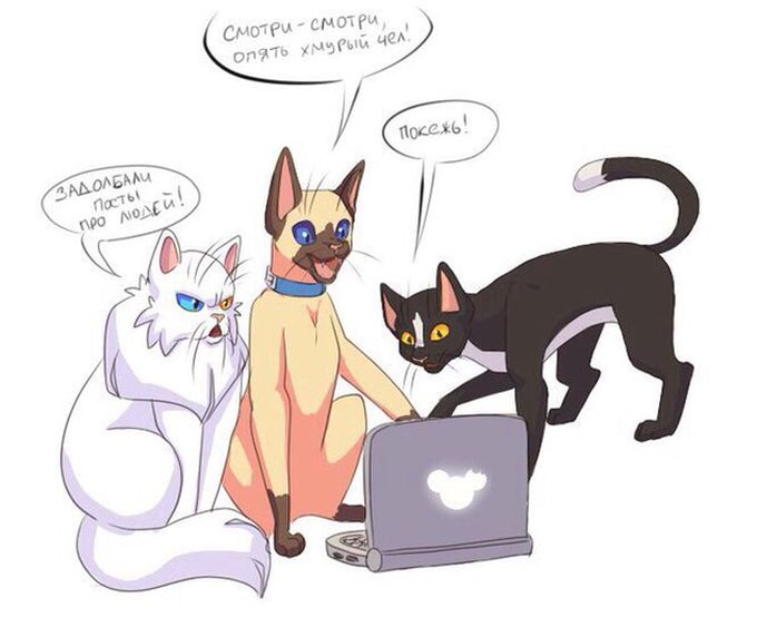 Смешные комиксы