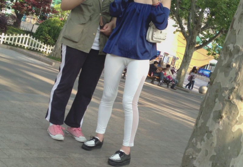 Верблюжья лапка