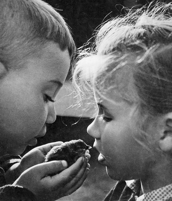 Страна, которой нет