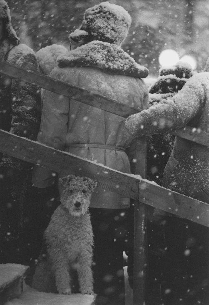 Страна, которой нет