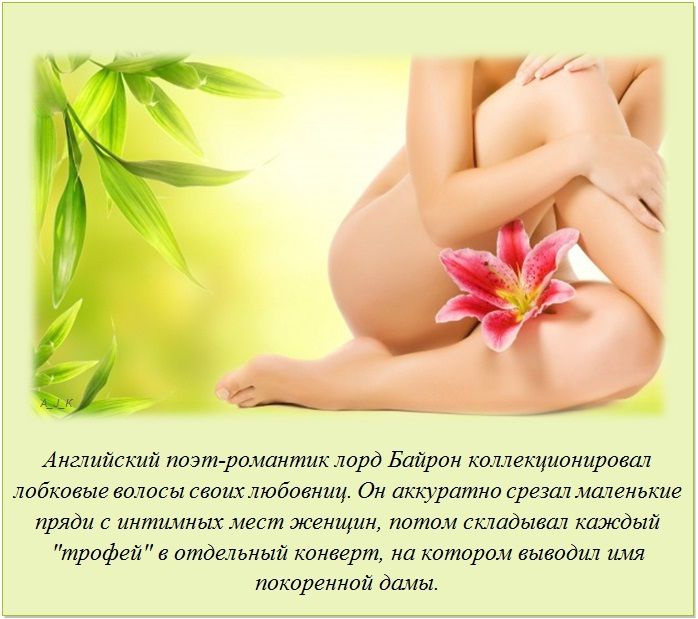 Факты в картинках