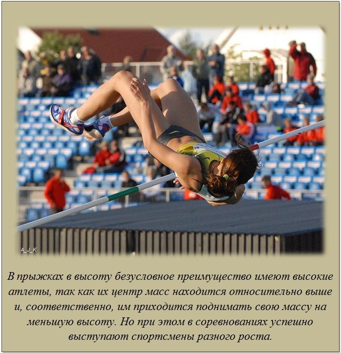 Факты в картинках