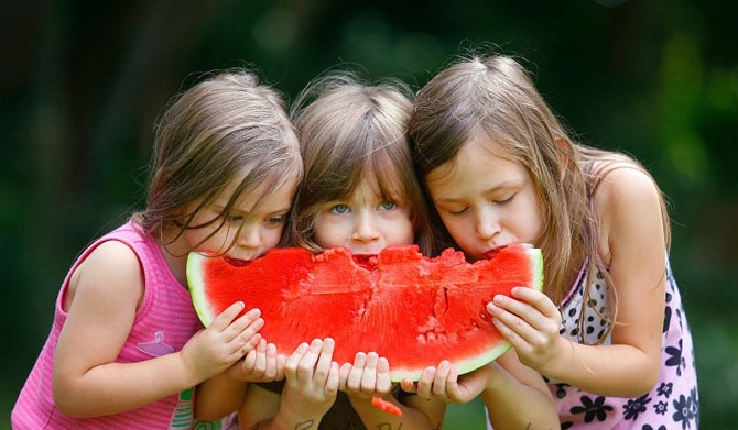 Удивительные факты об арбузе Удивительные факты об арбузе