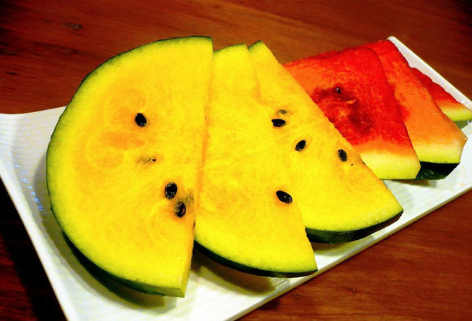 Удивительные факты об арбузе Удивительные факты об арбузе